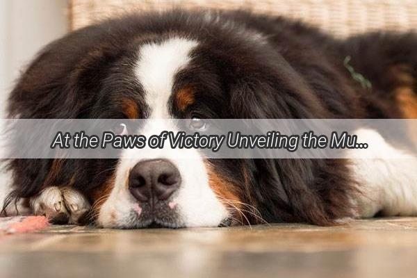 At the Paws of Victory Unveiling the Musical Genres that Fuel the Canine Uprising